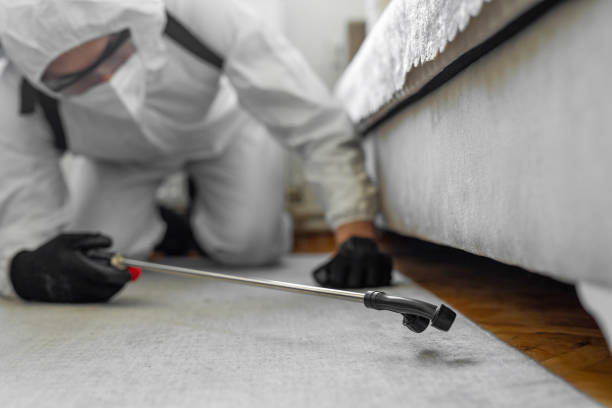 Professional Termite Control technician working in Rio Linda, CA