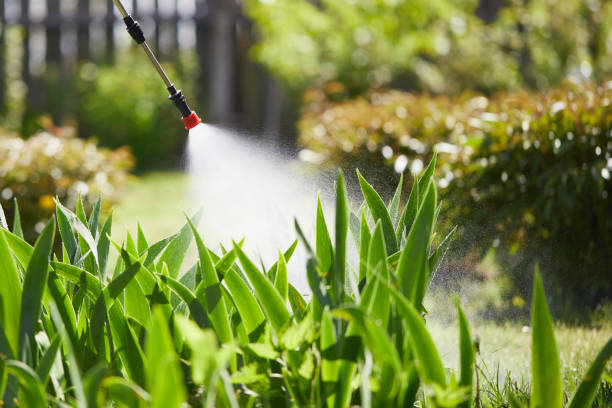 24/7 Emergency Termite Control experts in Rio Linda, CA