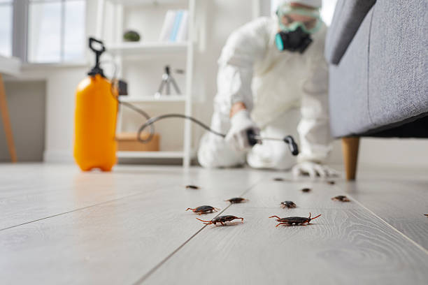 Trusted Fumigation Services service in Rio Linda, CA - Nex Pest Control